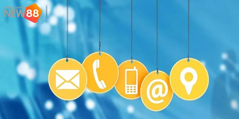 Hỗ trợ khách hàng qua email