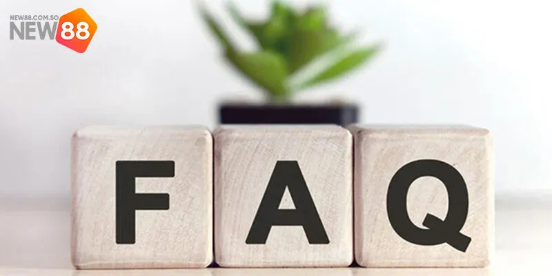 FAQ: Giải đáp thắc mắc khi đăng nhập New88