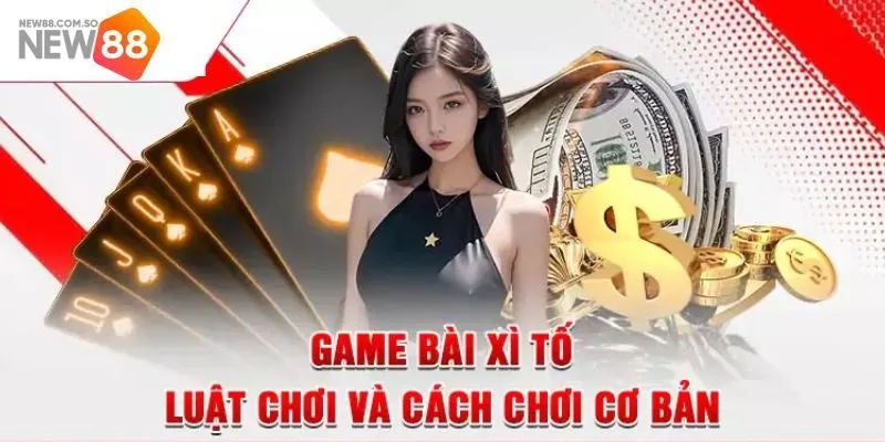Luật Xì Tố chi tiết dành cho những người mới chơi lần đầu