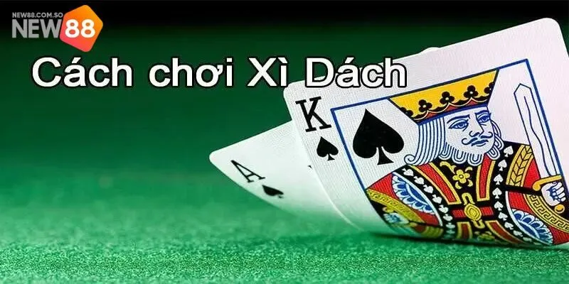 Chi tiết luật chơi xì dách từ cơ bản đến phức tạp