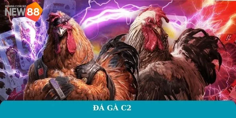 Đá gà c2 có những thể loại nào?
